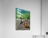 Tea Tasters Acrylic Print