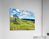 Beautiful Scenery Acrylic Print