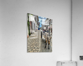 Horse Around Vigan Philippines Acrylic Print