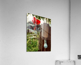 Red Flower & Homemade Lamp in Thailand Acrylic Print