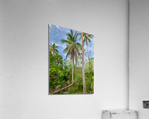 L Palm Tree Acrylic Print