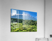 Mount Agung with Rice Fields Bali Acrylic Print