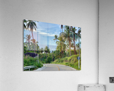Palm Tree Road Acrylic Print