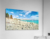 Dead Wood in Front of the Lake Acrylic Print