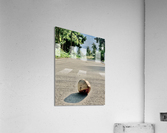 Coconut Shadow Acrylic Print