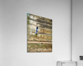 Bird Climbing the Stairs Acrylic Print