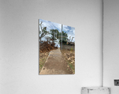 Cycling Up the Hill Acrylic Print