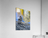 Duck like a Painting Acrylic Print