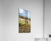 Dog in the Field Impression acrylique