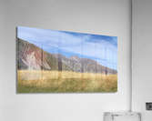 Nice Field Acrylic Print