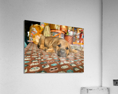 Sleepy Puppy Acrylic Print
