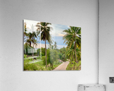 Ocean on the Horizon Acrylic Print