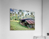 Big Rusty Shack Coconut Acrylic Print