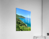 Blue Water in the Bay Acrylic Print