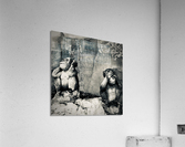 BW Didn t See it Didn t Hear it Monkeys Acrylic Print