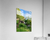 Hidden Gem Bungalow Acrylic Print