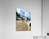 Dog on Mount Iron New Zealand Impression acrylique