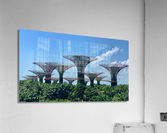 Gardens by the Bay Singapore Acrylic Print