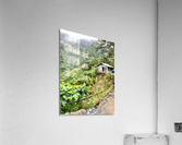 Living in the Mountains Acrylic Print