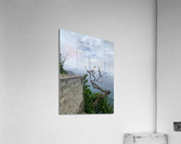 The Tree  The Wall Acrylic Print