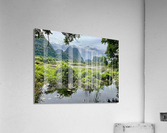 Wetland and Mountains Acrylic Print