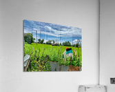 Village House Acrylic Print