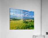 Village in the Rice Fields 3 Acrylic Print