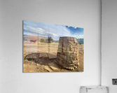 Dog on the Top of Mount Iron New Zealand Acrylic Print