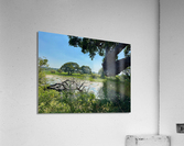 Yala National Park Sri Lanka 3 Acrylic Print