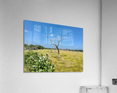 Yala National Park Sri Lanka 2 Acrylic Print