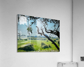 Yala National Park Sri Lanka 4 Acrylic Print