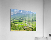 Rice Fields in Sapa 5 Acrylic Print