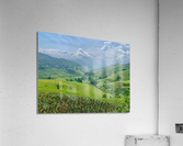 Rice Fields in Sapa 3 Acrylic Print