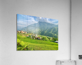 Village in the Rice Fields Sapa Acrylic Print
