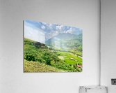 Rice Fields in Sapa 4 Acrylic Print