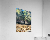 Abel Tasman National Park New Zealand 2 Acrylic Print