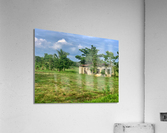 House on the Farm in the Philippines 2 Acrylic Print