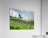 Leveled Field House Acrylic Print