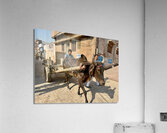 Special Delivery Acrylic Print