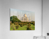 The Taj Mahal Collection 7 Acrylic Print