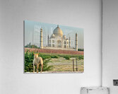 The Taj Mahal Collection 9 Impression acrylique