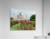 The Taj Mahal Collection 1 Acrylic Print