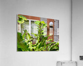 Maboul Island 19 Acrylic Print