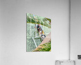 Maboul Island 17 Acrylic Print