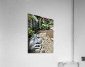 Face in the Ground Munduk Bali Acrylic Print