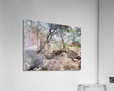 Cibuni Rengganis Crater Java Indonesia 6 Acrylic Print