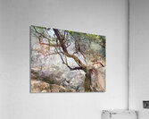 Cibuni Rengganis Crater Java Indonesia 7 Acrylic Print