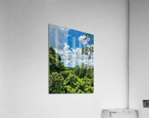 Kabili Sepilok Forest Reserve 1 Acrylic Print