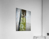 Kampong Ayer Floating Village Brunei 5 Impression acrylique