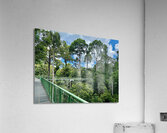 Kabili Sepilok Forest Reserve 2 Acrylic Print